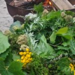 Sandra Nentwich ganzheitlich Coaching psychologische hilfe sofort, mentale Gesundheit, Kinesilogie, Selbsthilfe, Resilienz