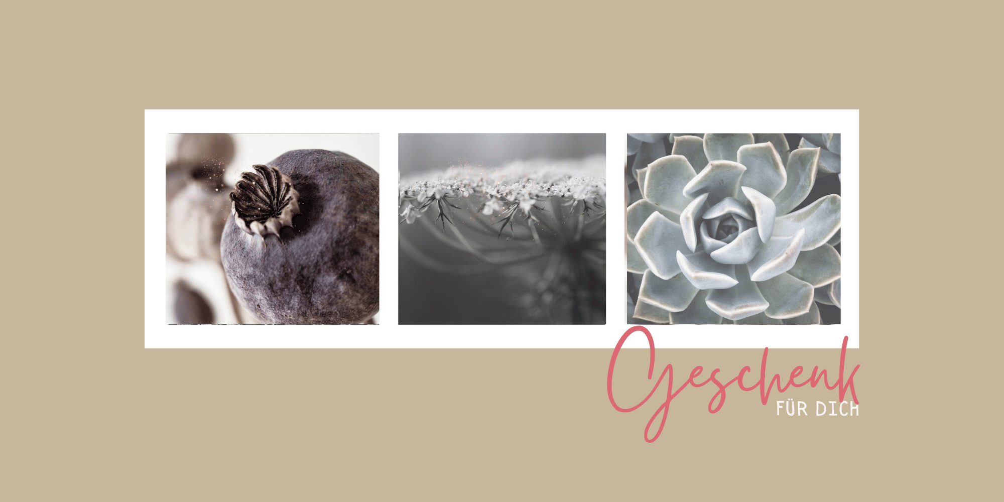 Gutschein Zeit schenken, Sandra Nentwich ganzheitlich Coaching psychologische Hilfe Familienhilfe, sofort, mentale Gesundheit, Kinesiologie, Selbsthilfe, Resilienz