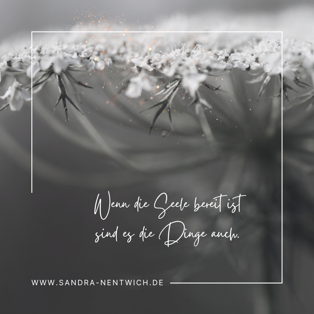 Sandra Nentwich ganzheitlich, Magie, Gemeinschaft, Kinesiologie, Authentisch sein, Ziele erreichen, Persönlichkeitsentwicklung, Selbstermächtigung, Familienhilfe, Coaching, psychologische hilfe, sofort, mentale Gesundheit, Kinesiologie, Selbsthilfe, Resilienz, Entscheidungsfindung, authentische Macht, eigenverantwortung,