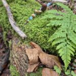 Veränderung, Neuorientierung, Umbruch, Kinesiolgie, Coaching, tut gut, gutschein, Energiearbeit