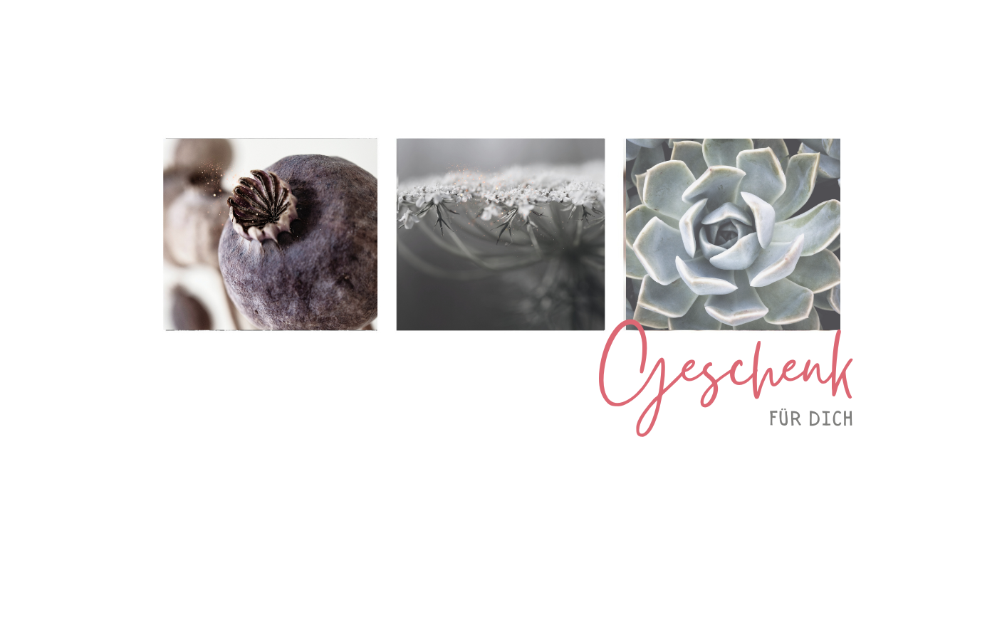 Veränderung, Neuorientierung, Umbruch, Kinesiolgie, Coaching, tut gut, gutschein, Energiearbeit