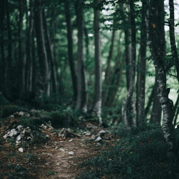 Veränderung, Neuorientierung, Umbruch, Kinesiolgie, Coaching, Energiearbeit